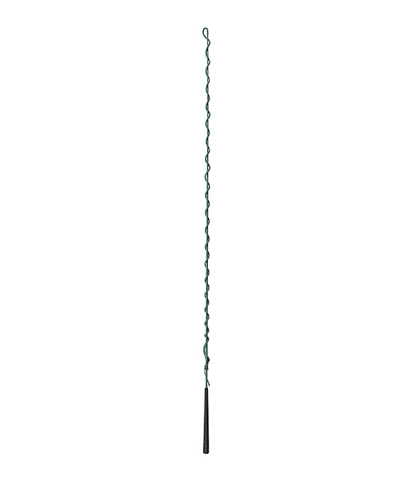 Lungeing Whip