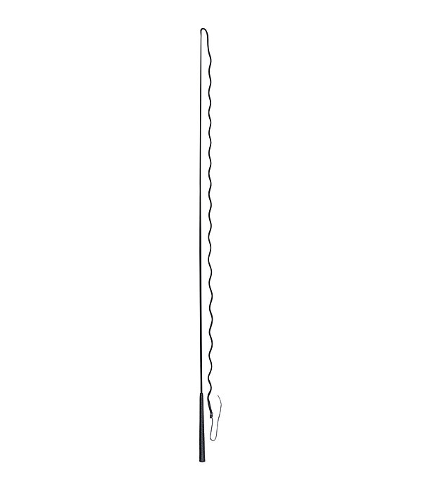 Lungeing Whip