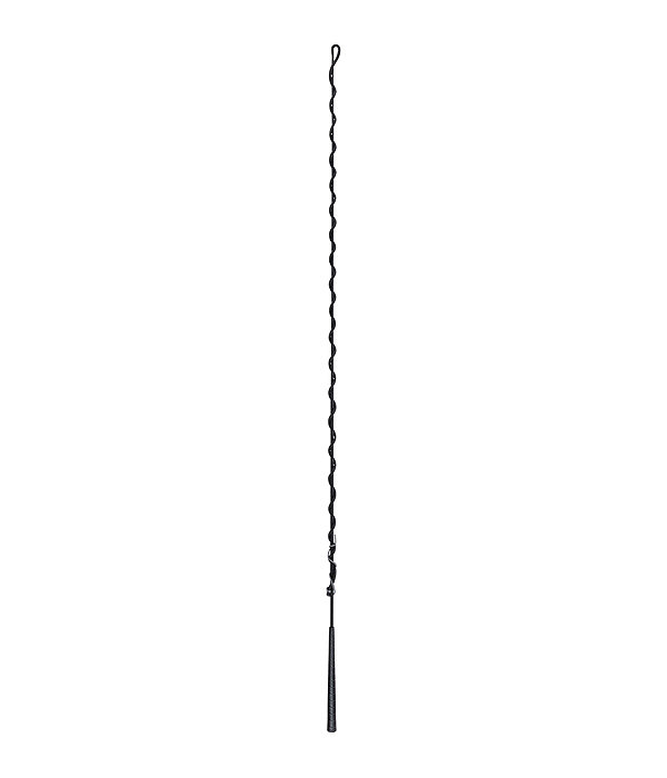 Lungeing Whip