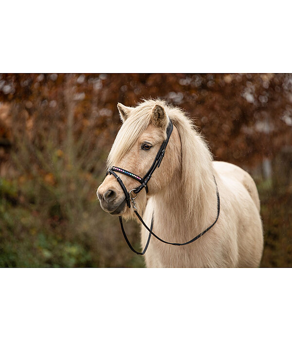 Flash Noseband Rainbow