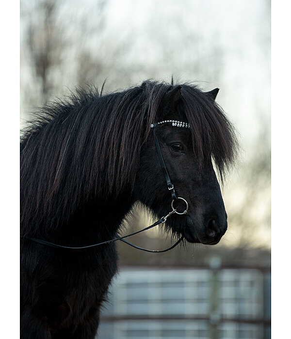 Leather Reins Blossi