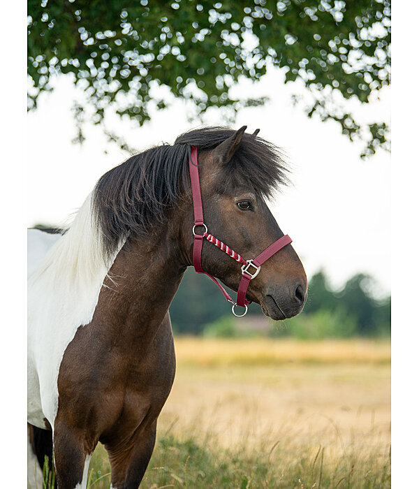 Headcollar Svs