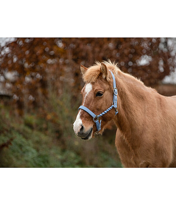 Headcollar Svs