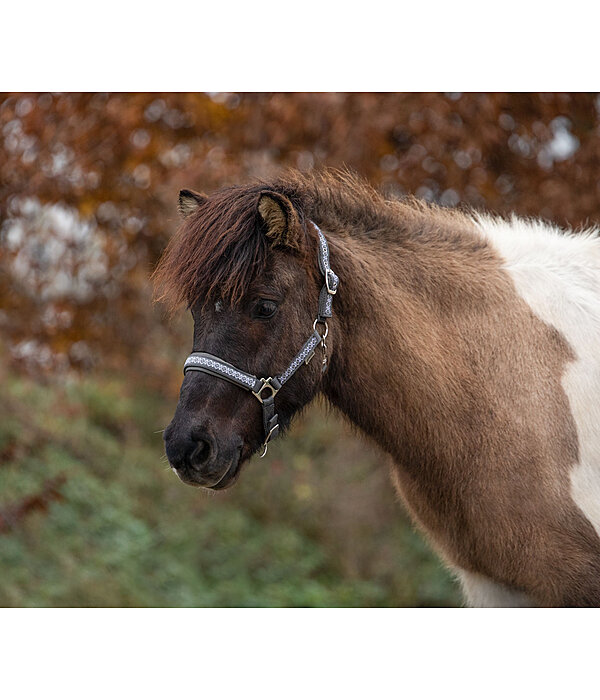 Headcollar Kngur