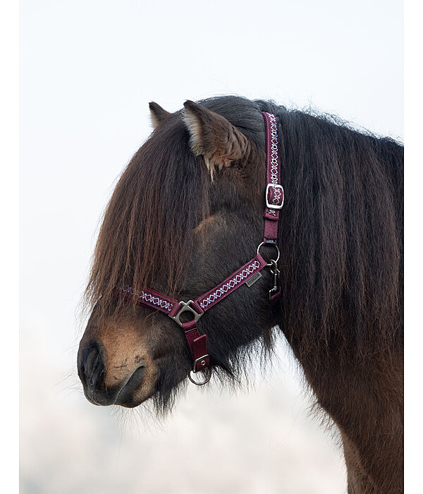 Headcollar Kngur