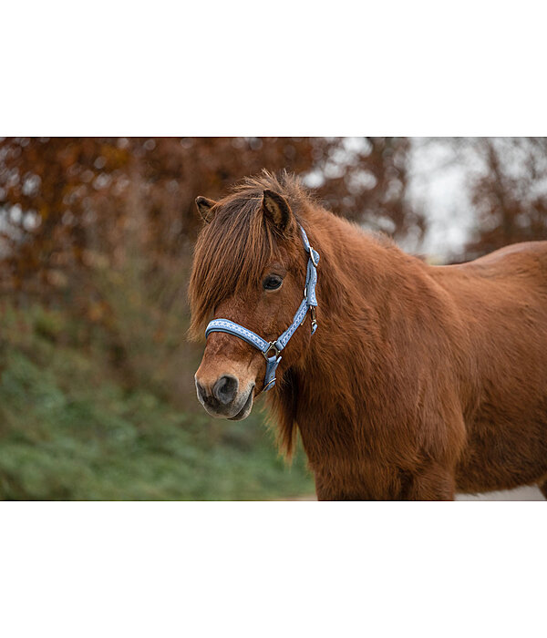 Headcollar Kngur