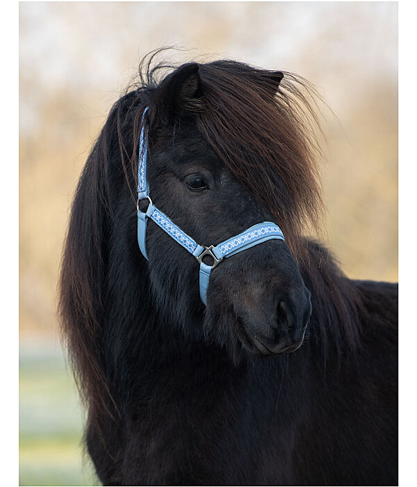 Headcollar Kngur