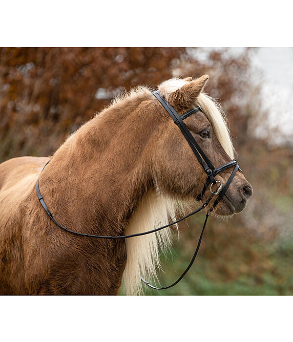 Iceland Headstall Eldur