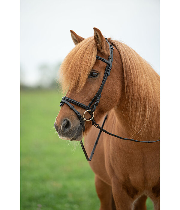 Iceland Headstall Eldur