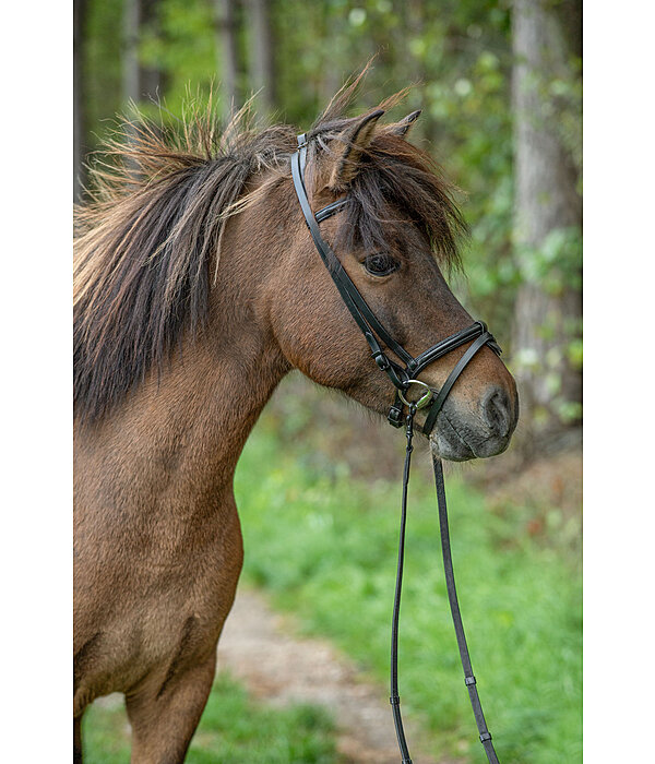 Iceland Headstall Eldur