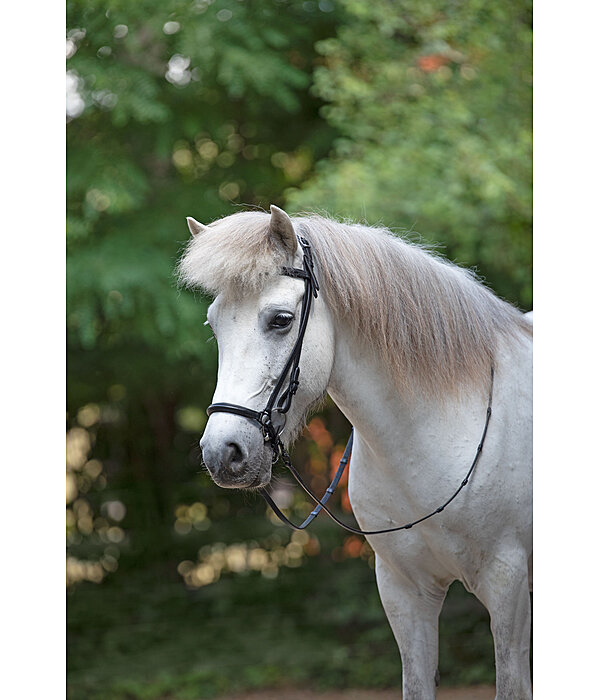 Drop Noseband Eldur