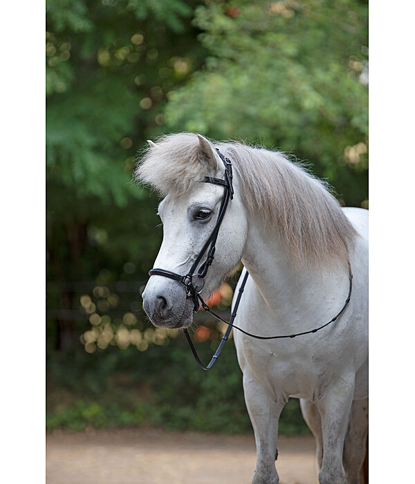 Drop Noseband Eldur