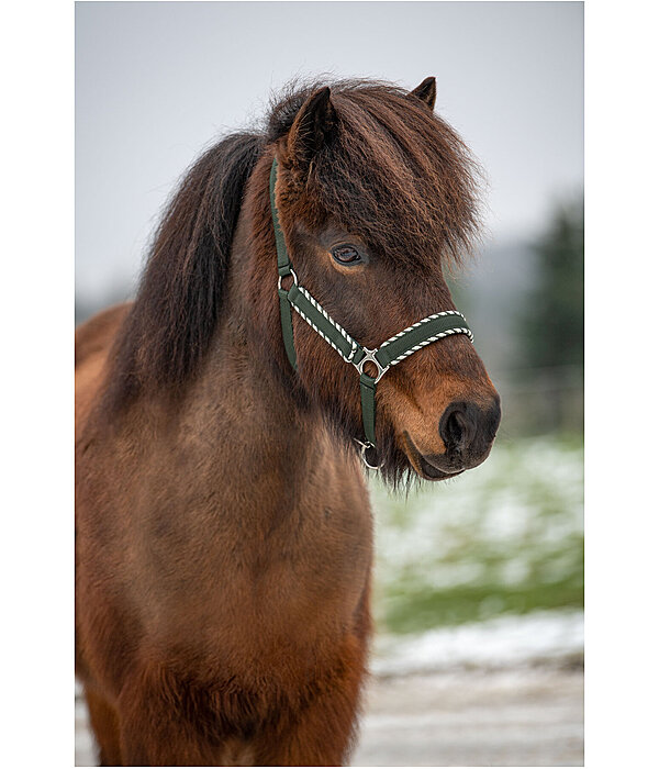 Headcollar Dagur