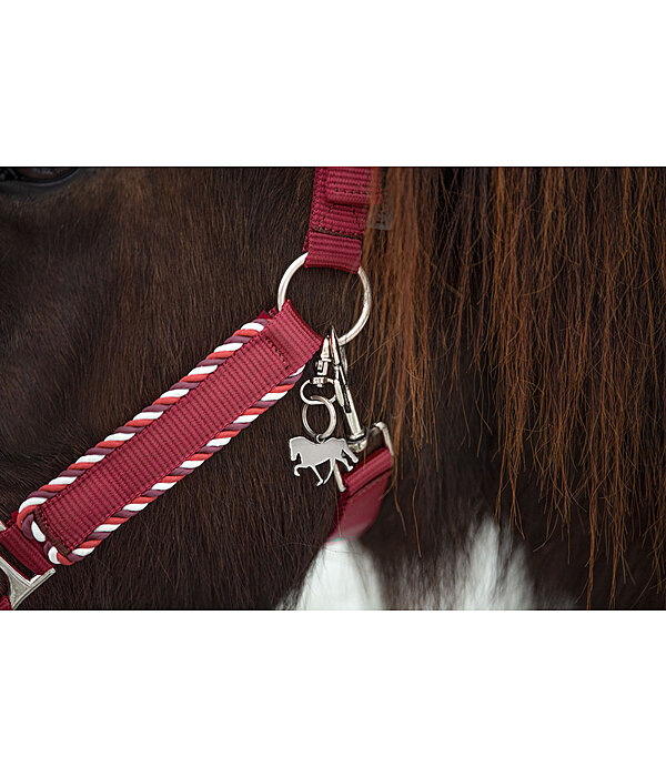 Headcollar Dagur