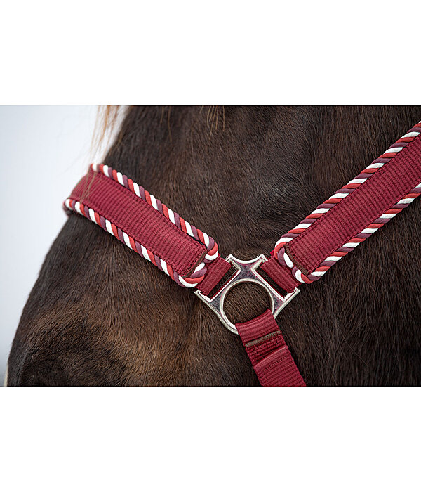 Headcollar Dagur