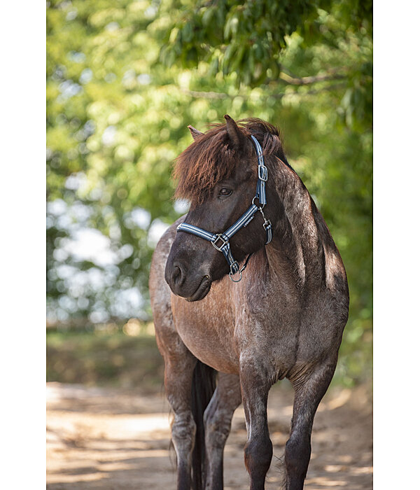 Headcollar Floki