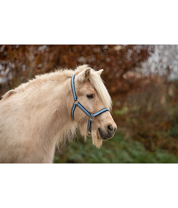 Headcollar Floki