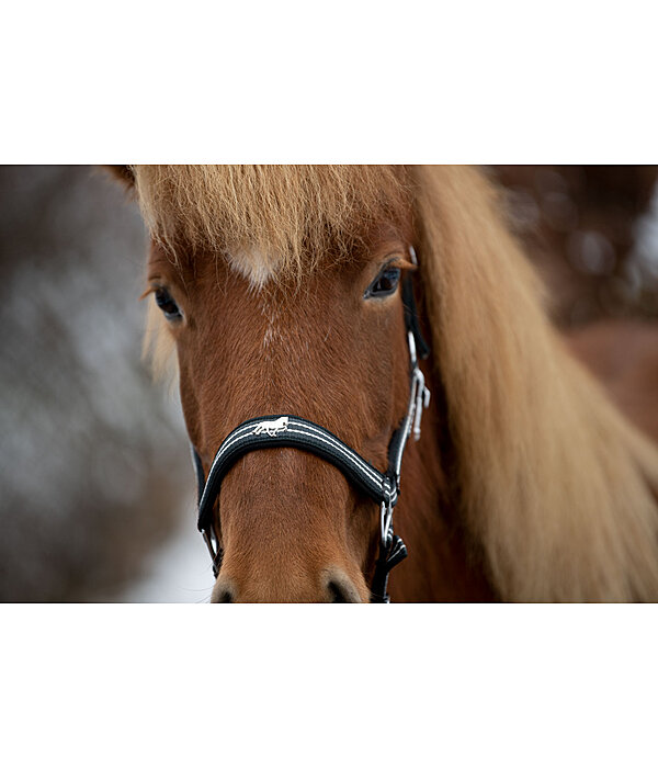 Headcollar Floki