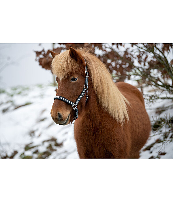 Headcollar Floki