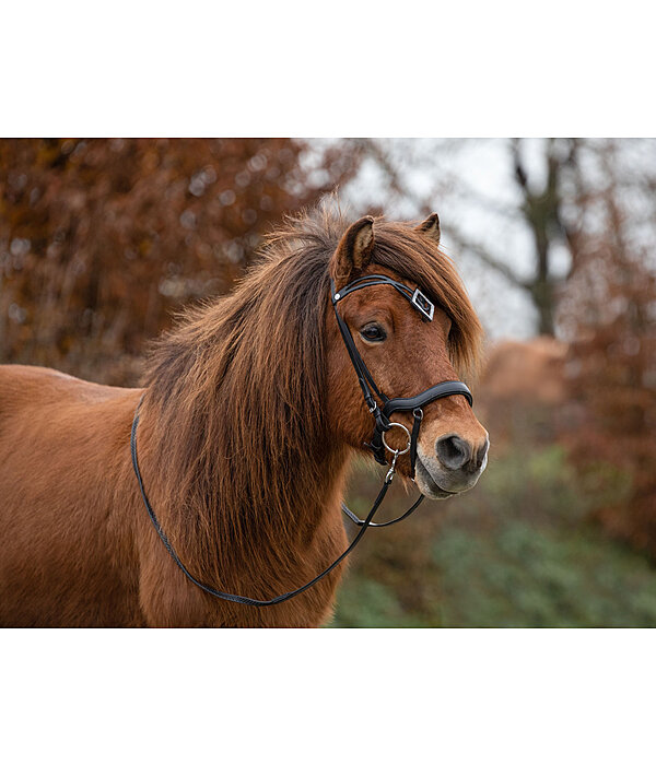 Flash Noseband Hildur