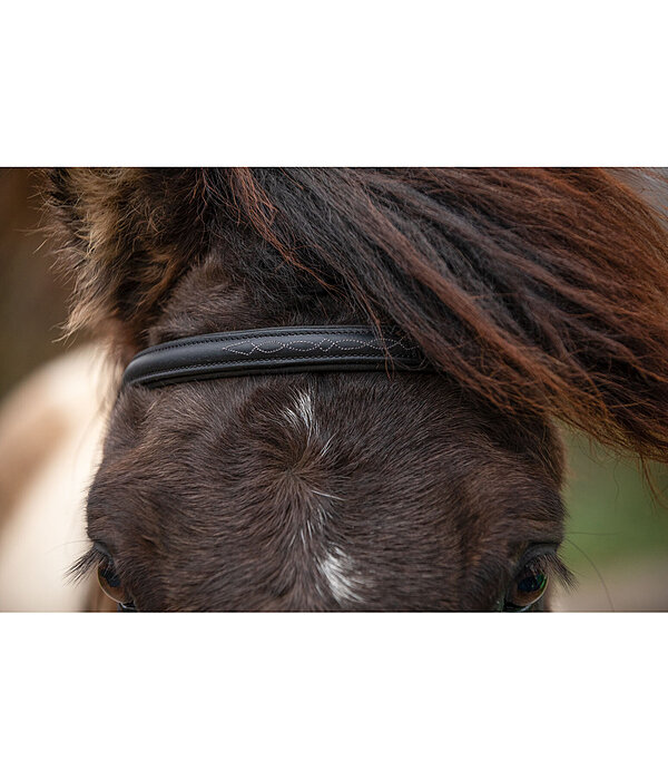 Headstall Helgi