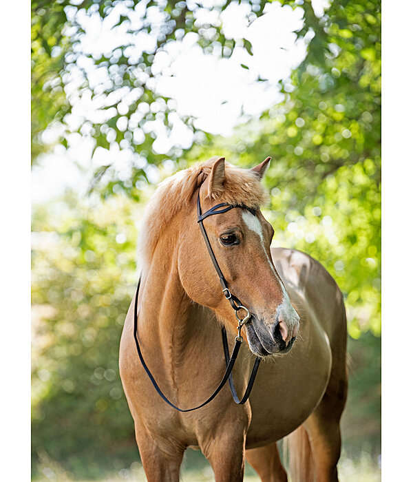 Iceland Headstall Virtur