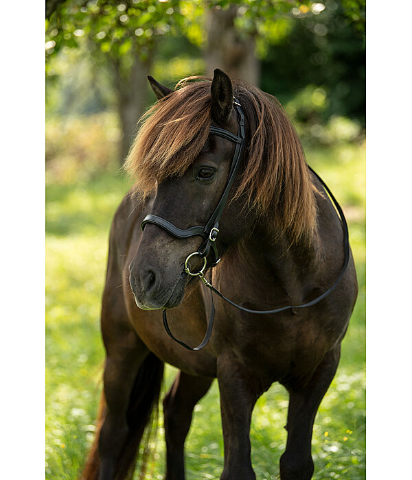 Anatomical Noseband Leikur