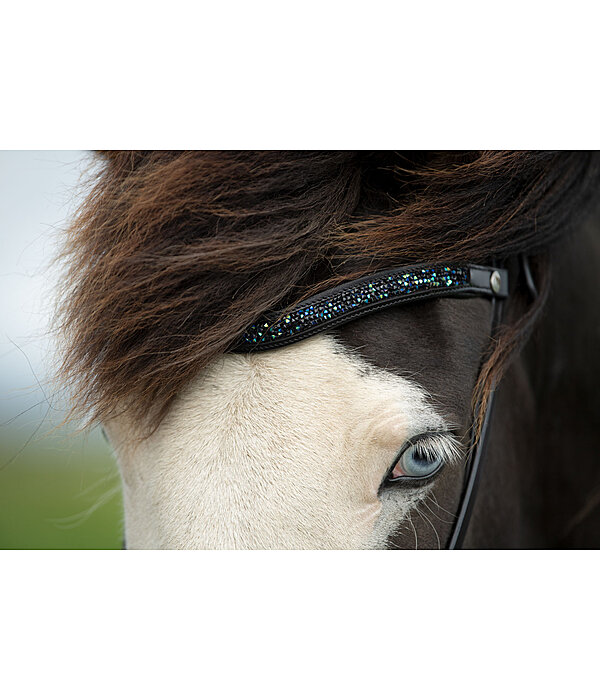 Browband Skna