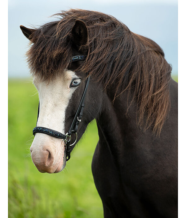 Browband Skna