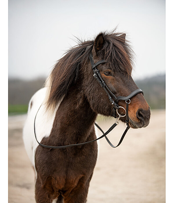 Anatomical Bridle Linur