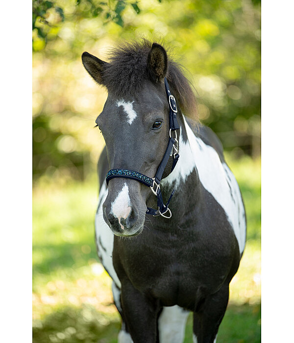 Headcollar Skina