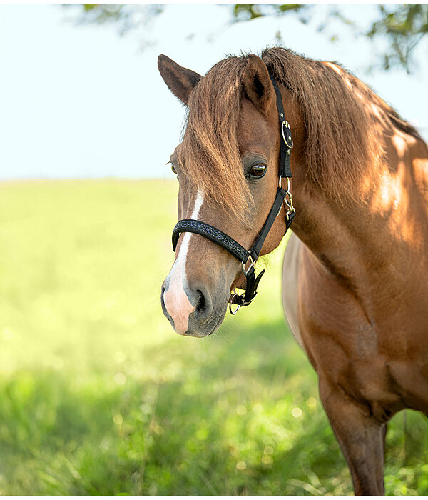 Headcollar Skina