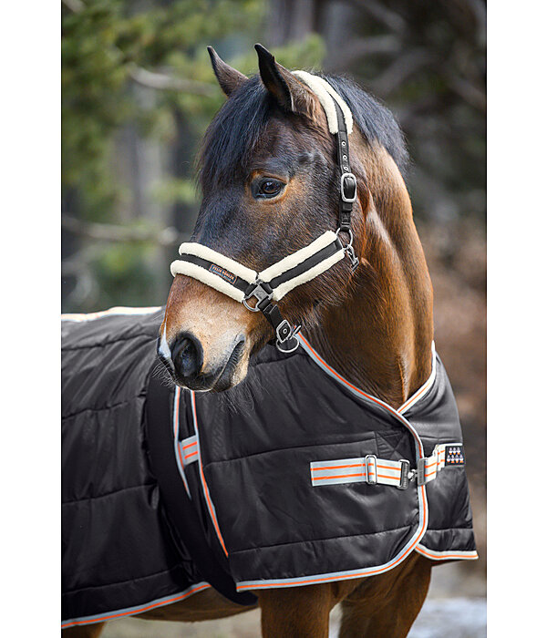 Teddy Fleece Headcollar Ceramic Rehab