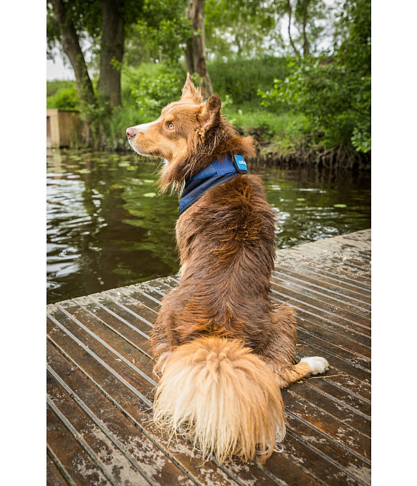 Cool on Track Dog Bandana