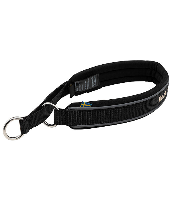 Pull Stop Dog Collar Charlie