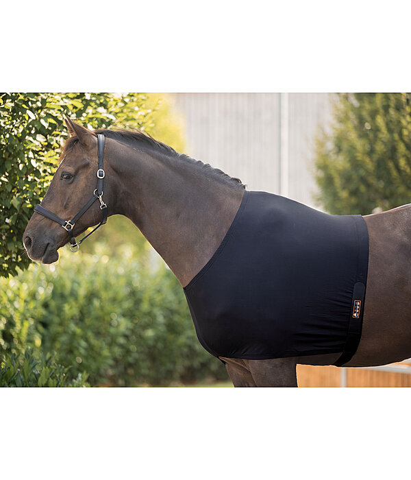 Shoulder Guard Ceramic Rehab for Horses