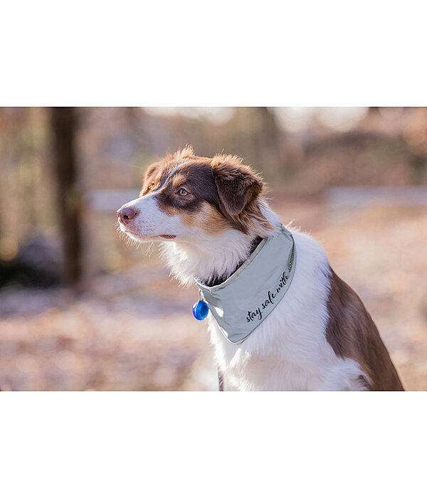 Reflective Neck Scarf for Dogs