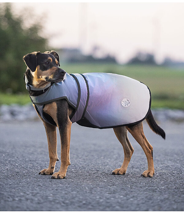 Reflective Dogcoat