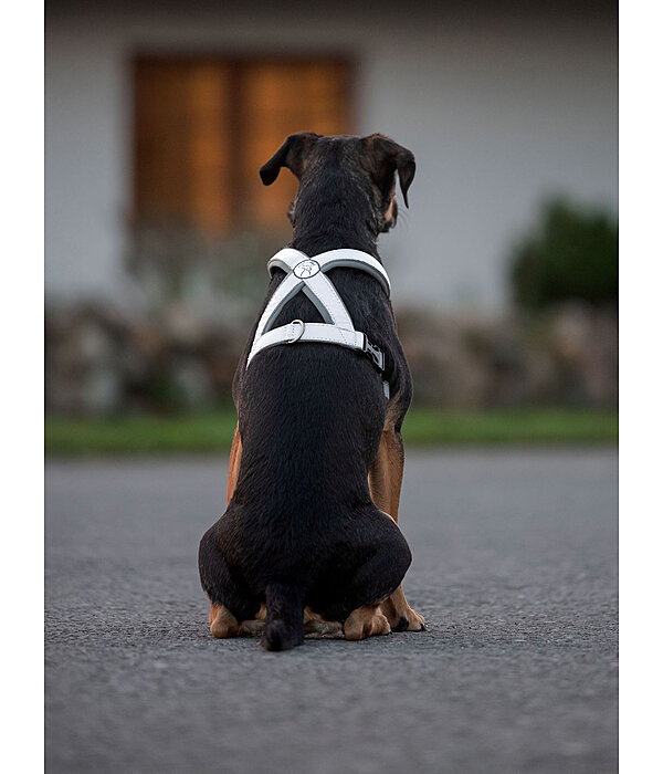 Reflective Dog Harness