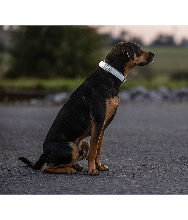 Reflective Dog Collar