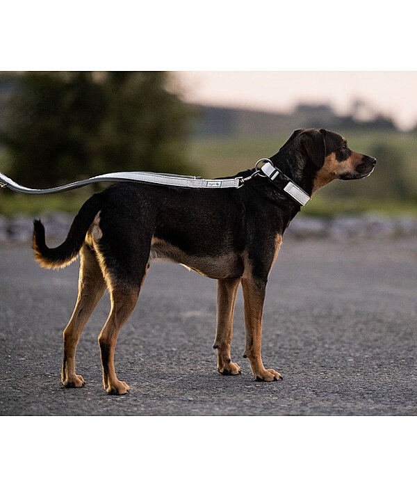 Reflective Dog Lead