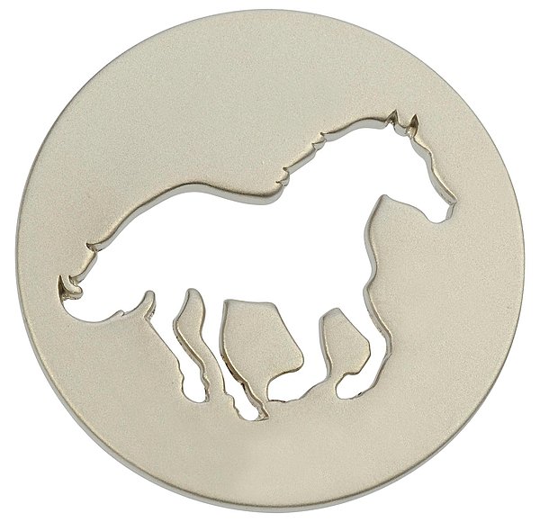 Trolley Chip Holder/Key Chain