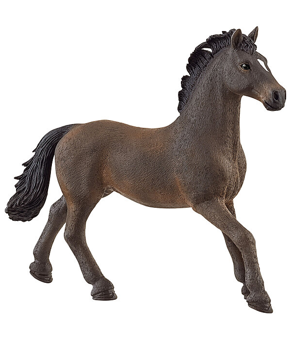 Oldenburg Stallion