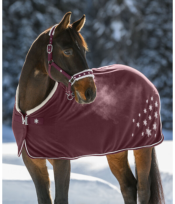 Christmas Collection Headcollar