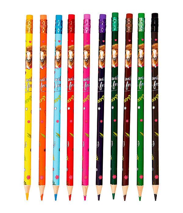 Erasable Crayons Horse Friends
