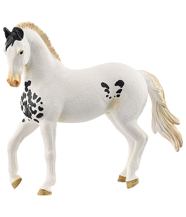 Marwari Stallion