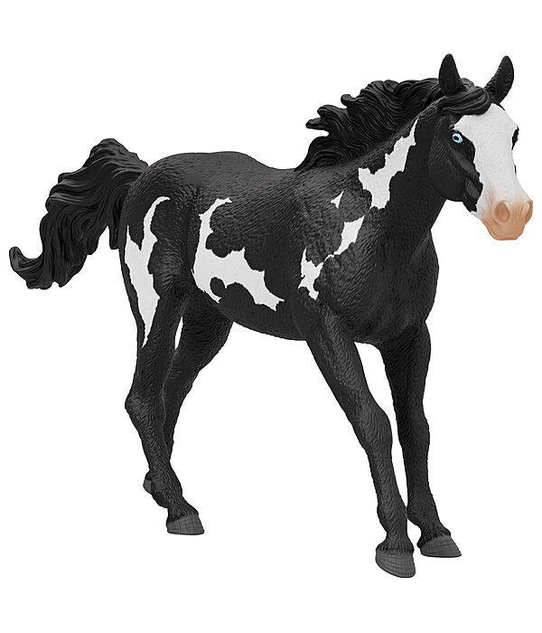 Paint Horse Gelding
