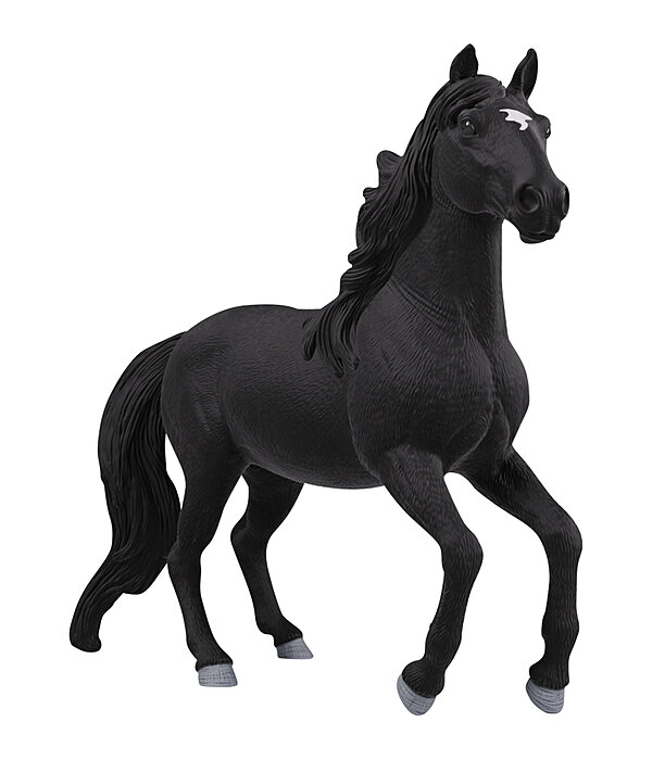 Lusitano Stallion