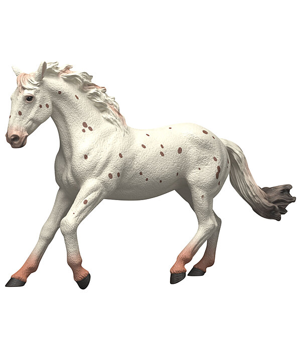 Knabstrupper Mare