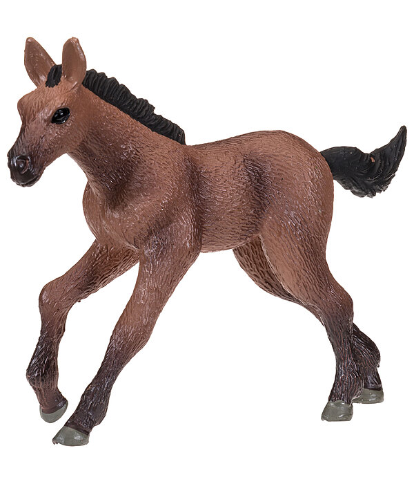 Play Series Oldenburg Foal